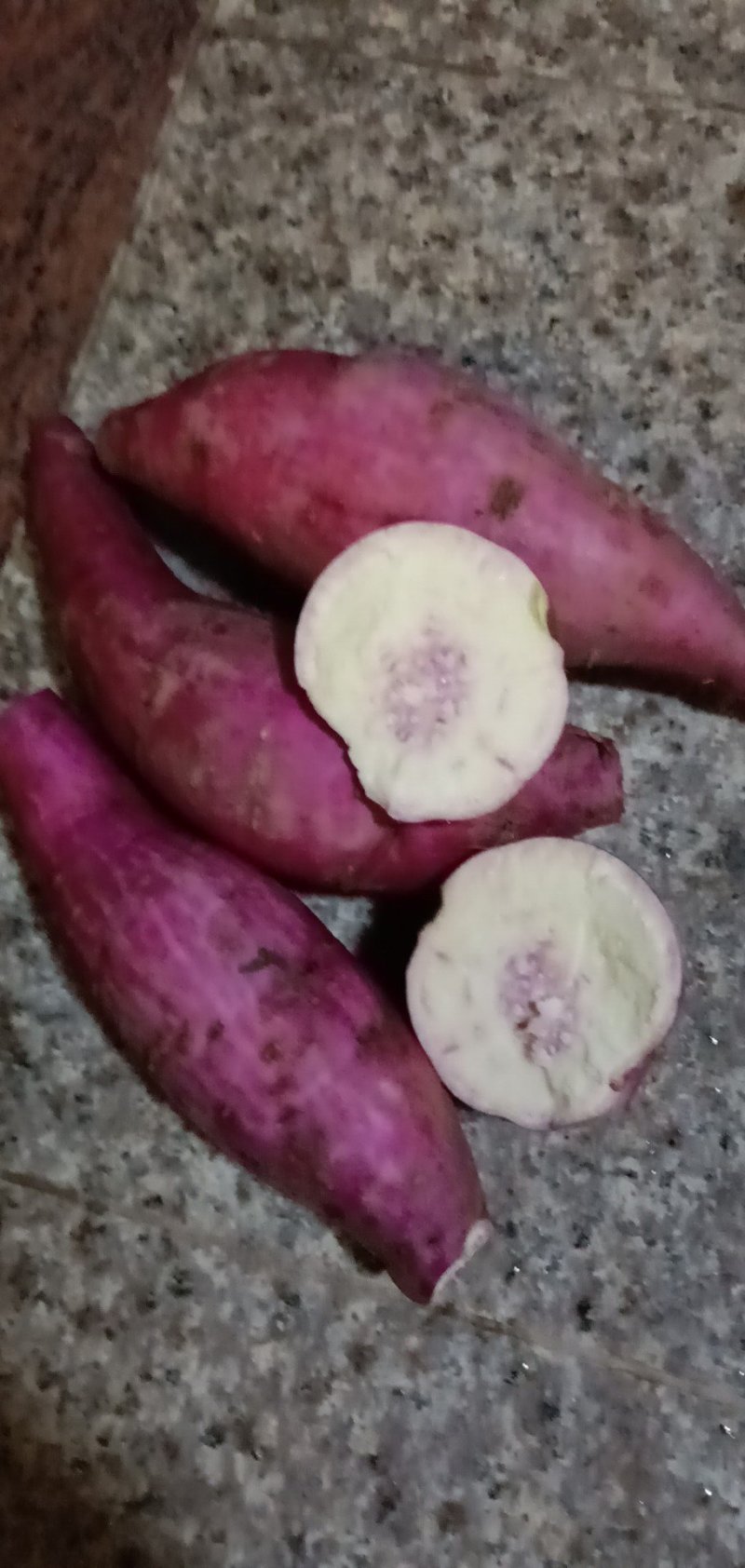 红薯苗一点红