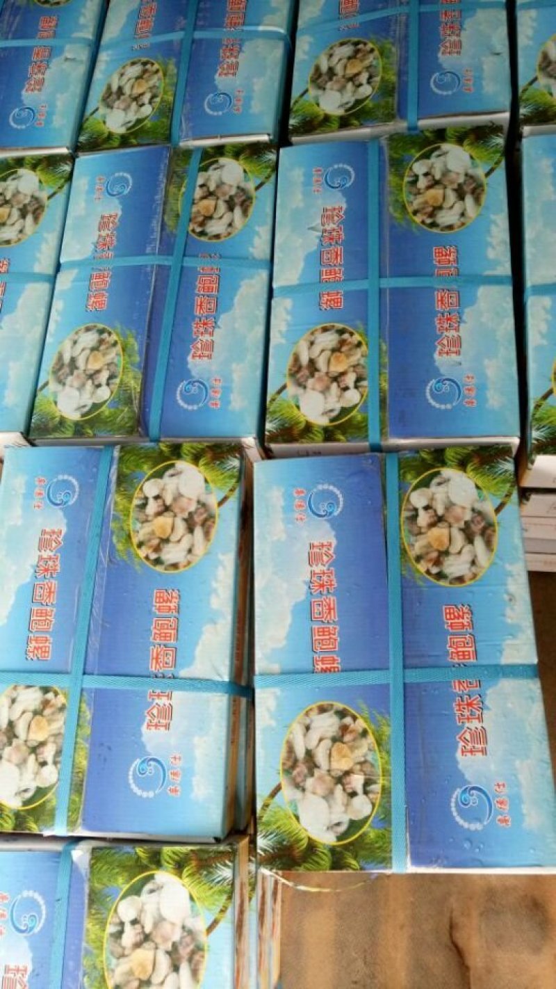 珍珠鲍螺，珠肉螺