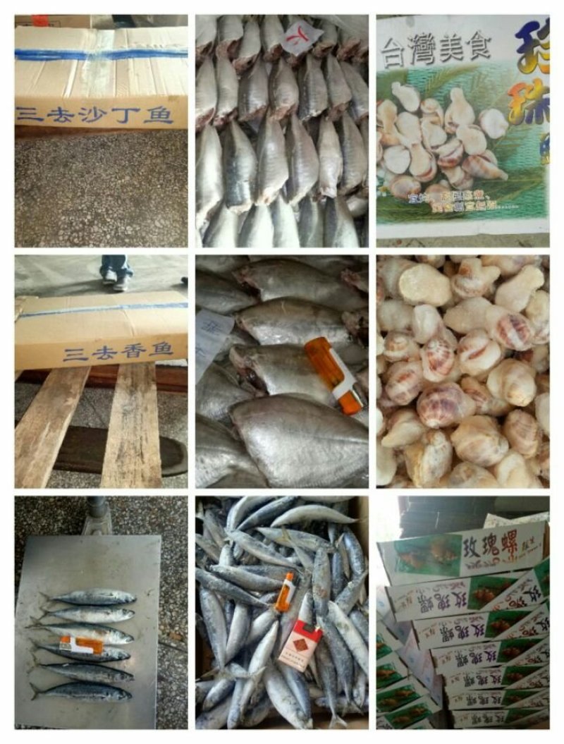 珍珠鲍螺，珠肉螺