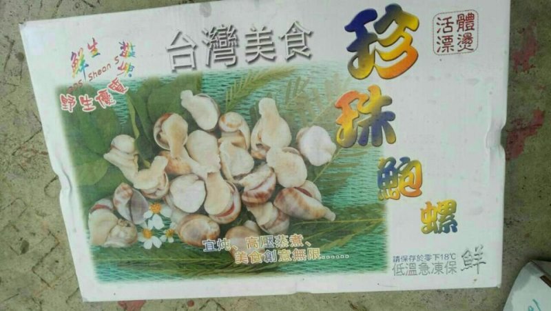 珍珠鲍螺，珠肉螺
