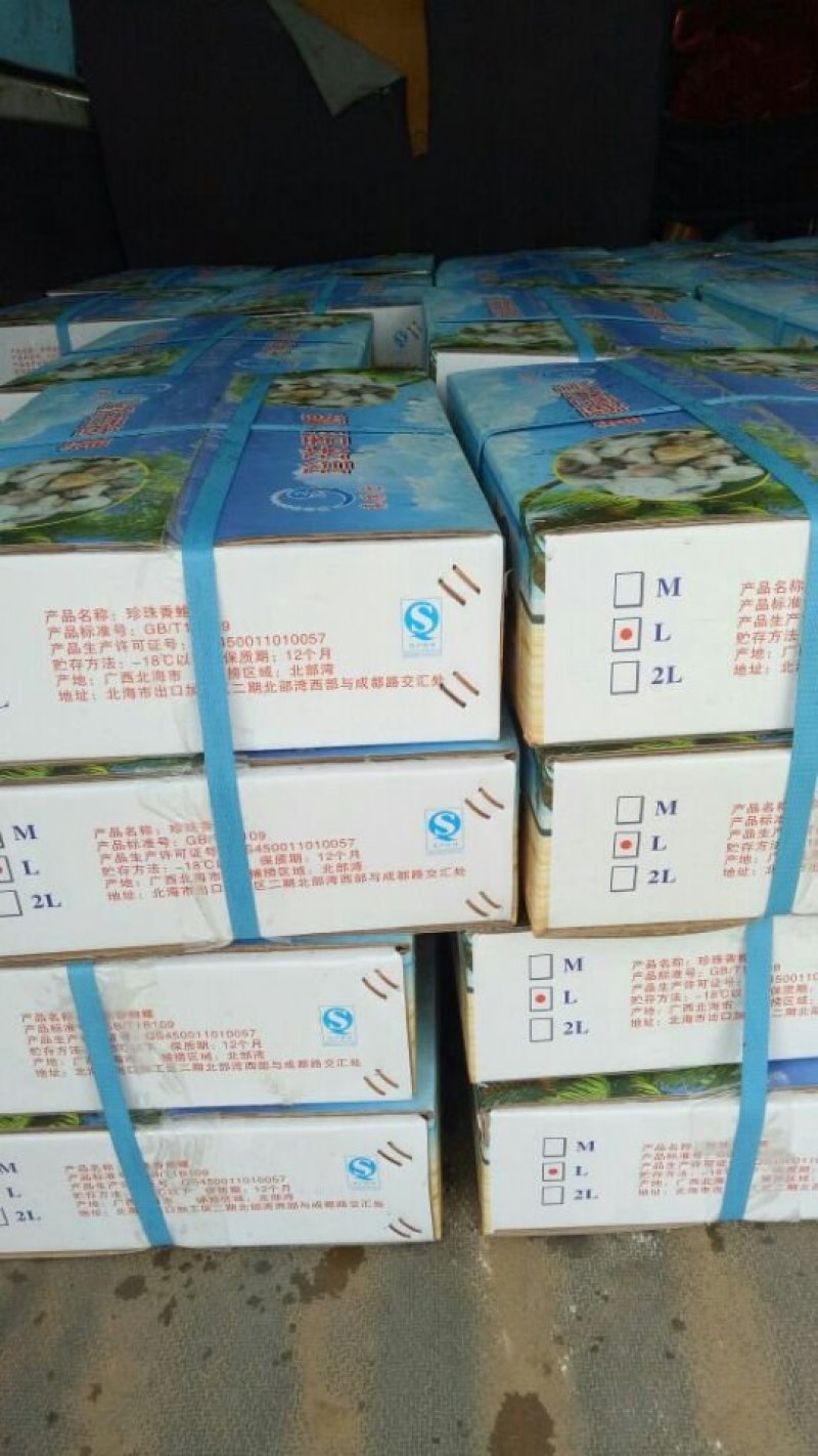 珍珠鲍螺，珠肉螺