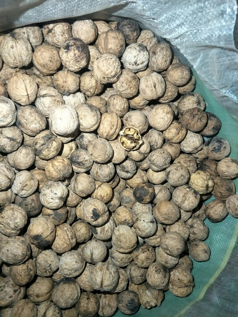 核桃