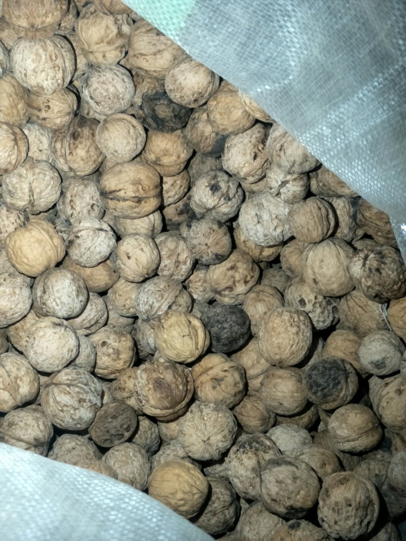 核桃