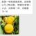 桃树苗，毛桃苗，占地桃树