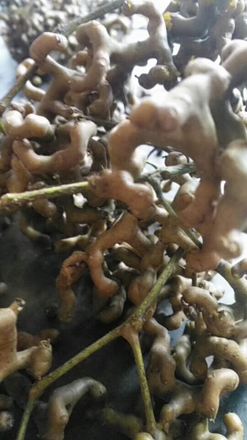 纯粮酒