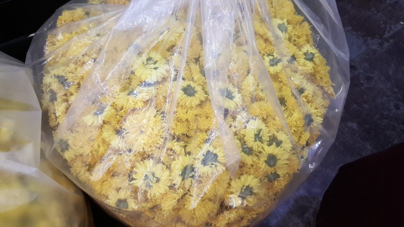 金丝皇菊、贵安尚菊、皇菊、贡菊一朵一杯