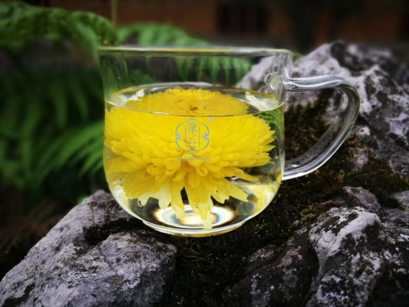 菊花茶