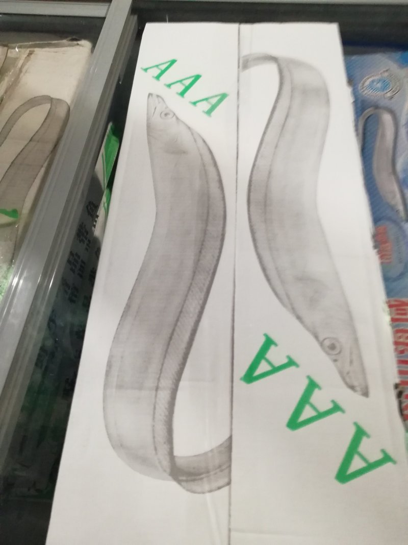 刀鱼
