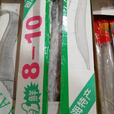 刀鱼