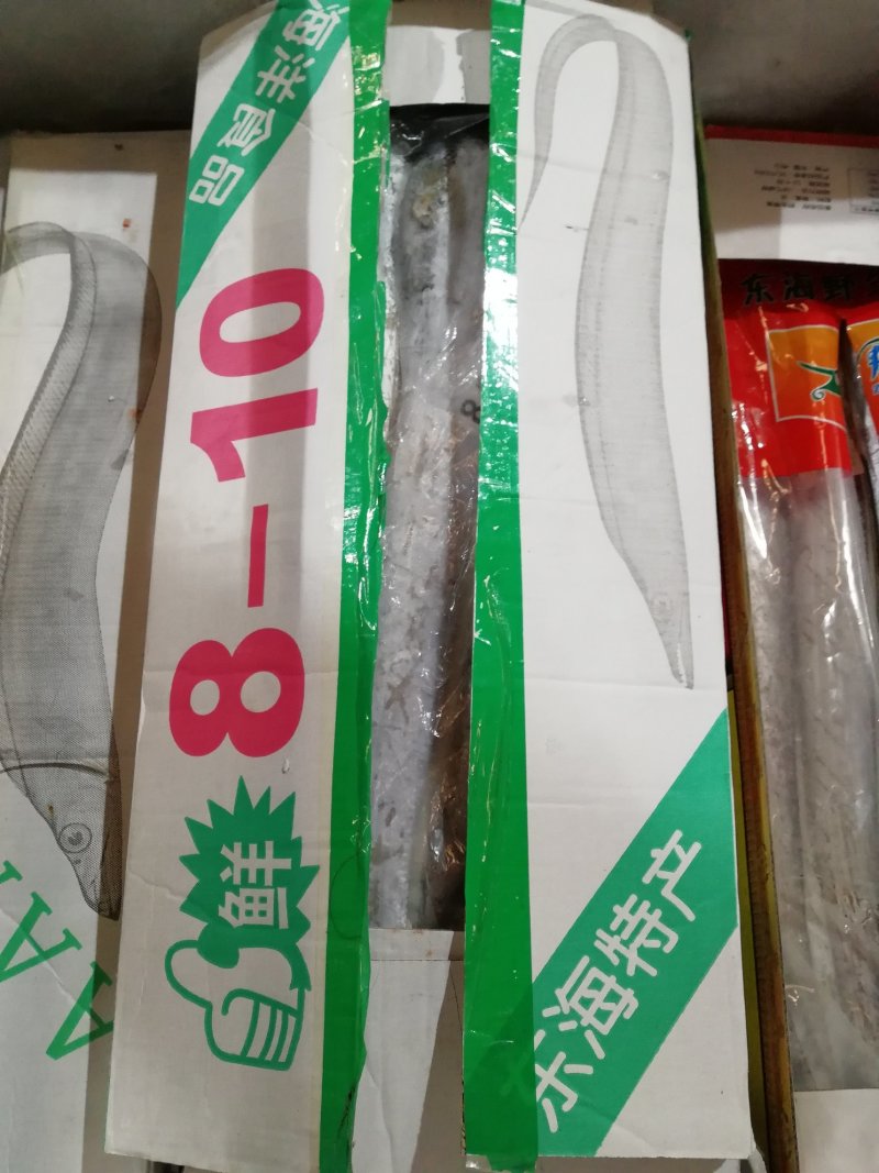 刀鱼