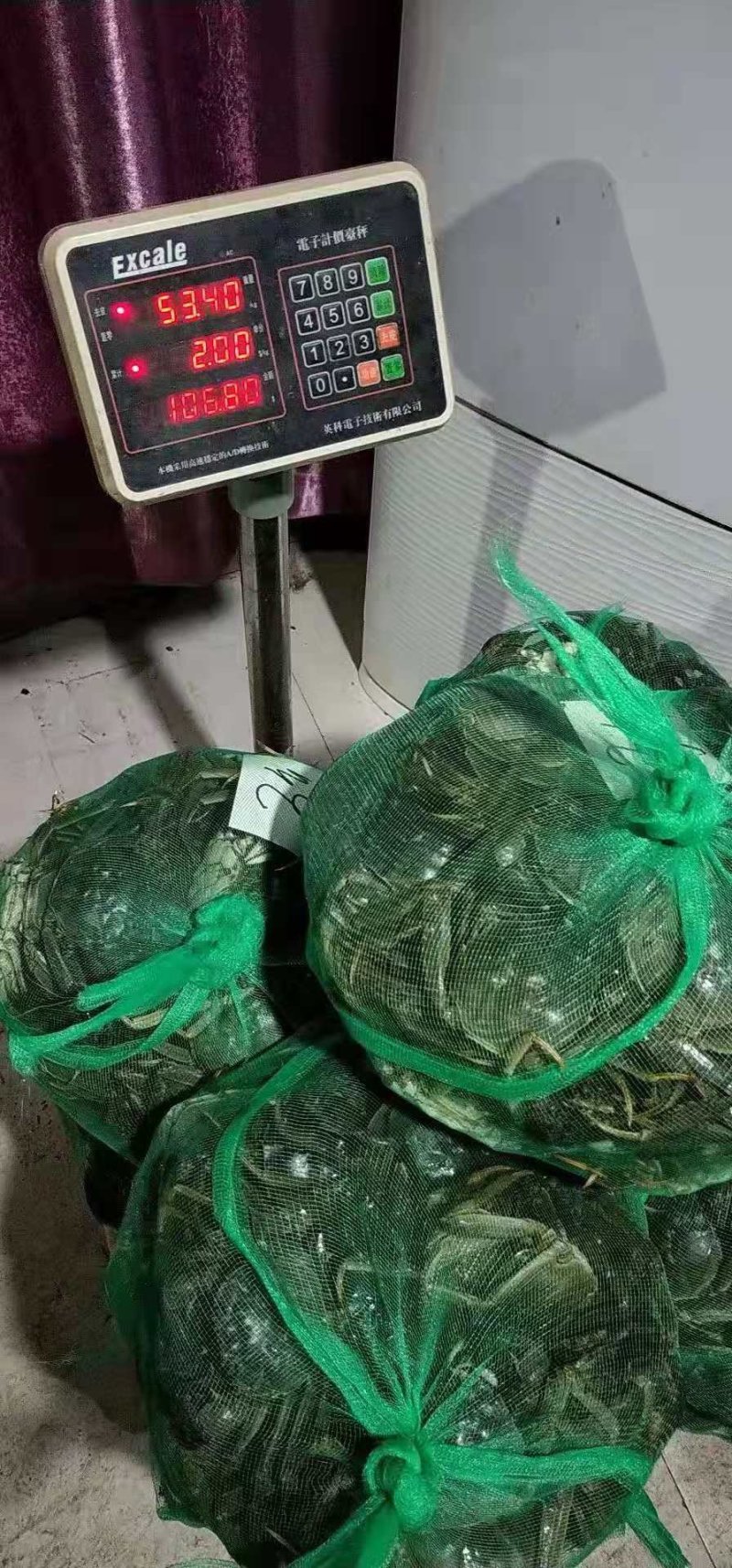汉川大闸蟹