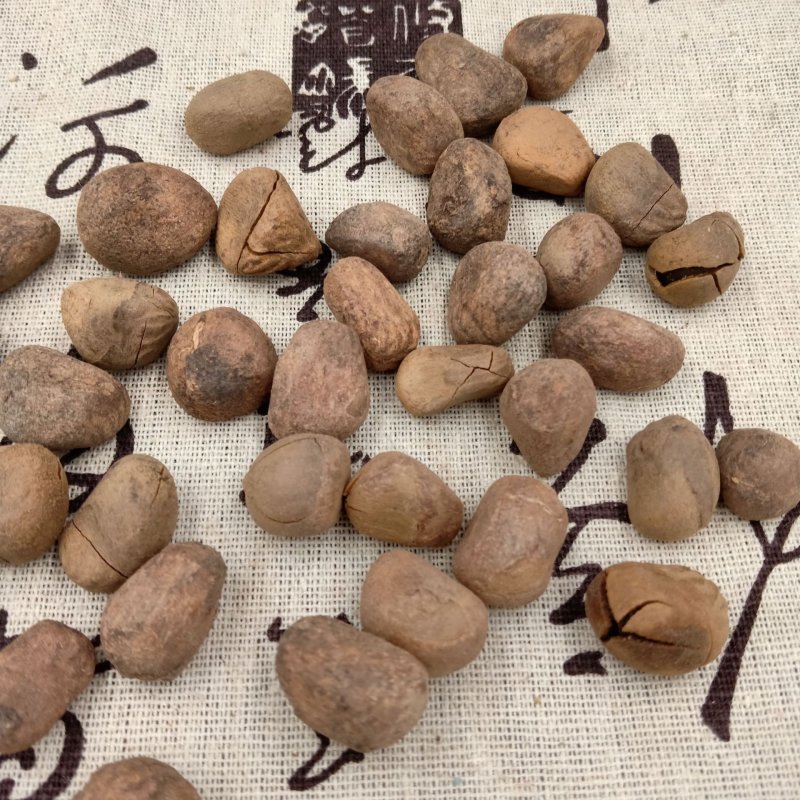 大风子批发各种规格中药材