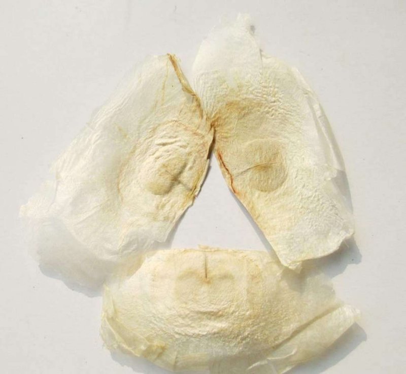 木蝴蝶批发各种规格中药材