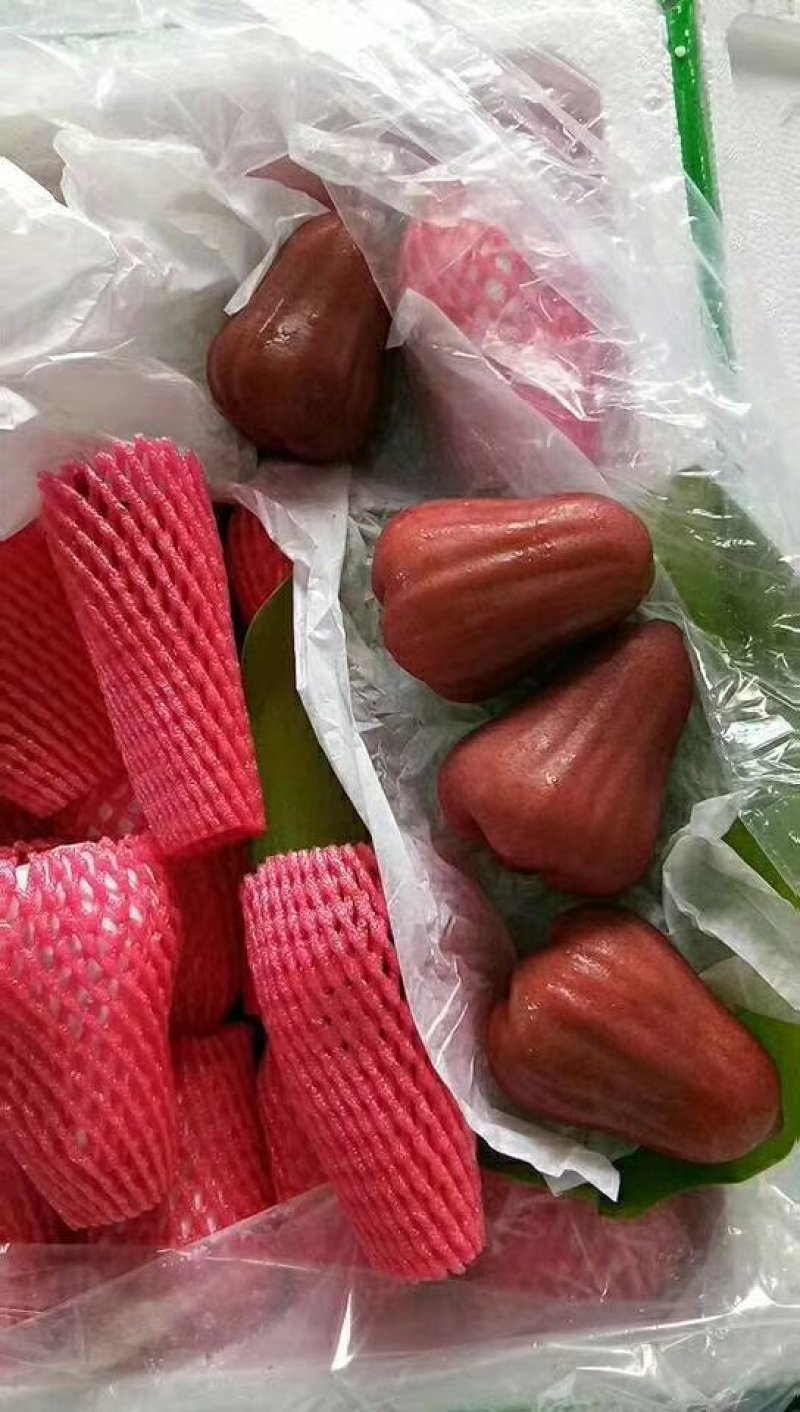 莲雾