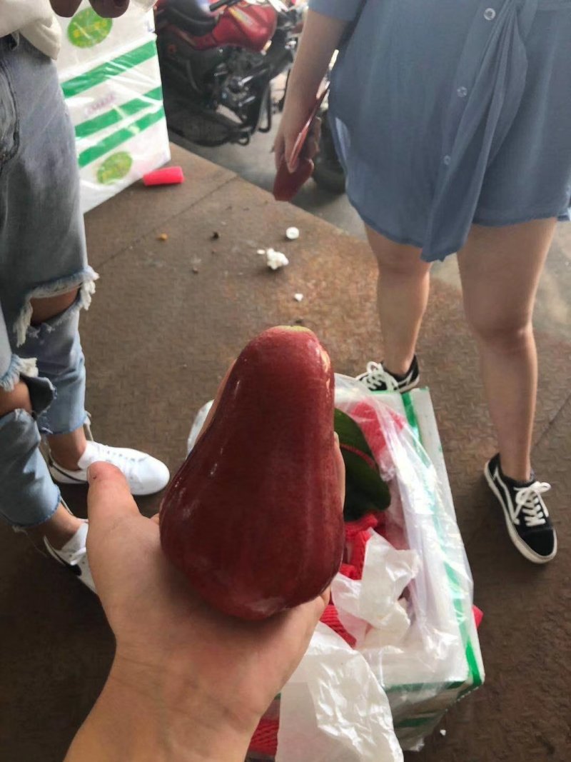 莲雾