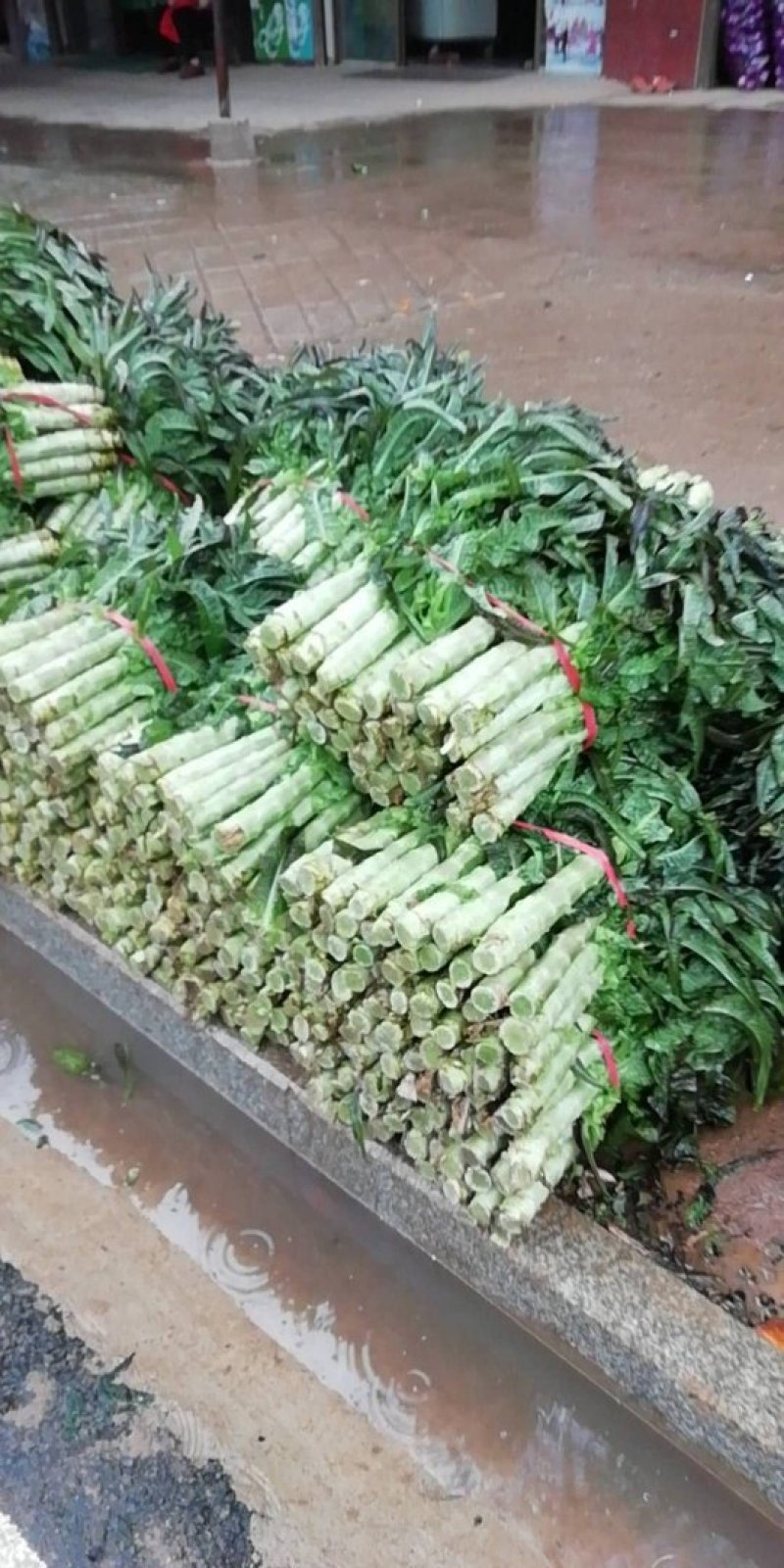 湖北潘家湾童威红叶莴笋皮薄肉多
