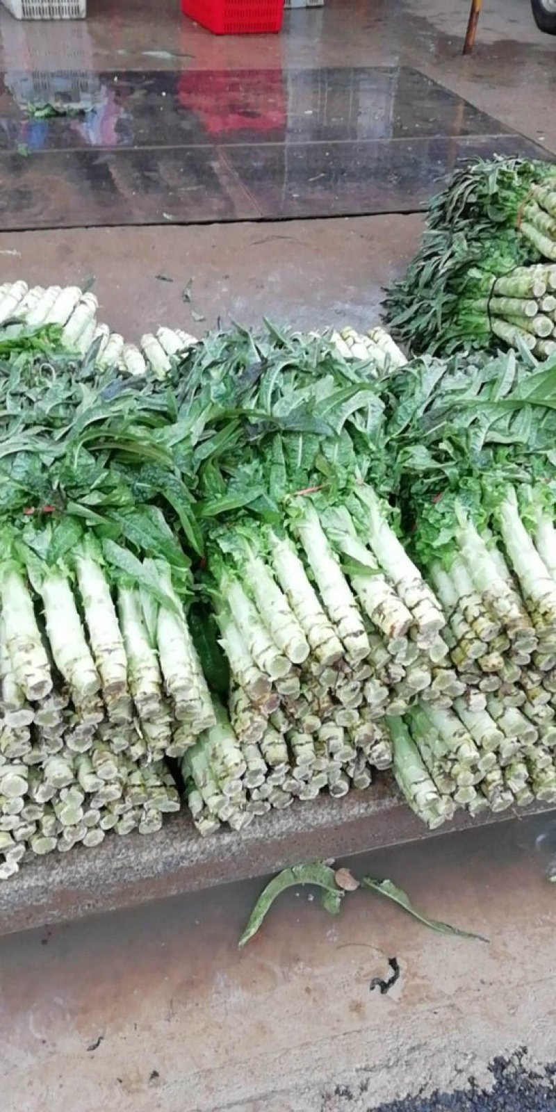 湖北潘家湾童威红叶莴笋皮薄肉多