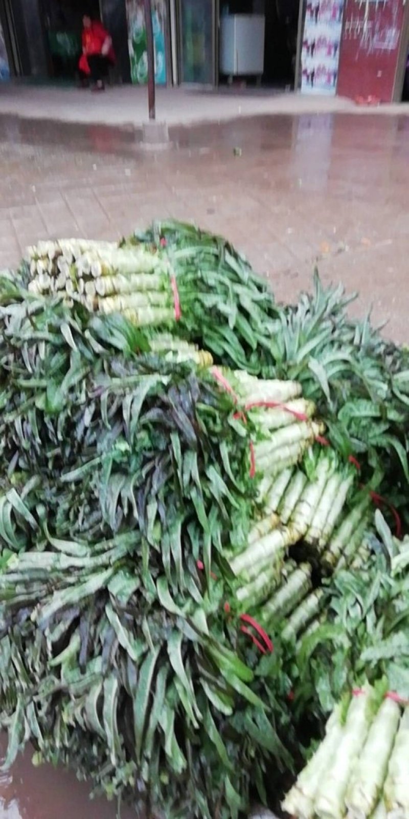 湖北潘家湾童威红叶莴笋皮薄肉多