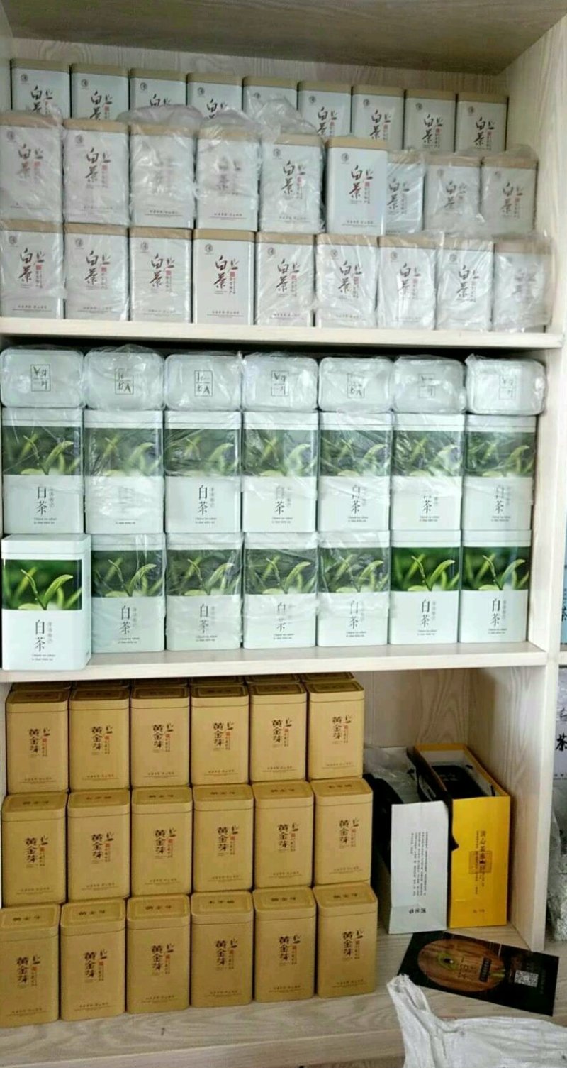 安吉白茶
