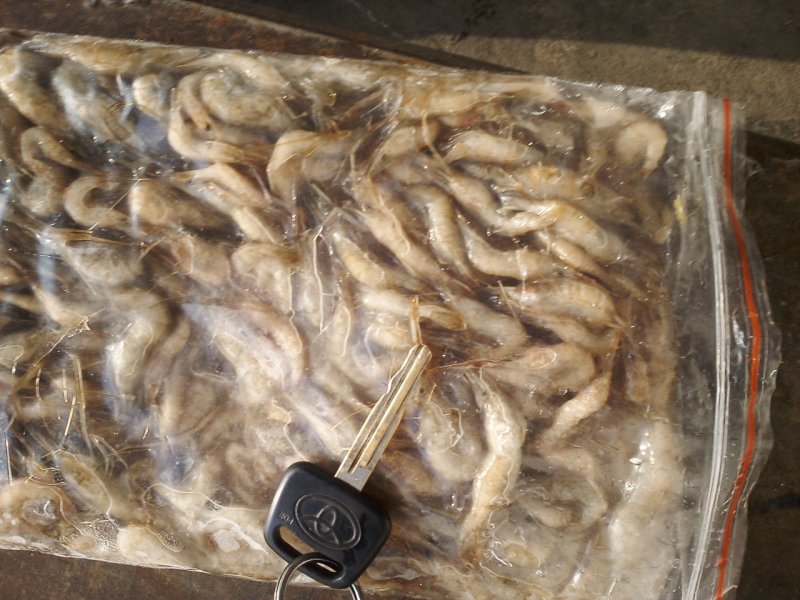 鸭绿江速冻河虾产地一手货源直发量大质优欢迎选购