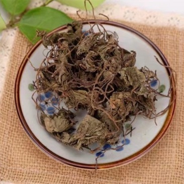 青天葵包邮正品冷背中药材批发独叶莲珍珠叶品质保证