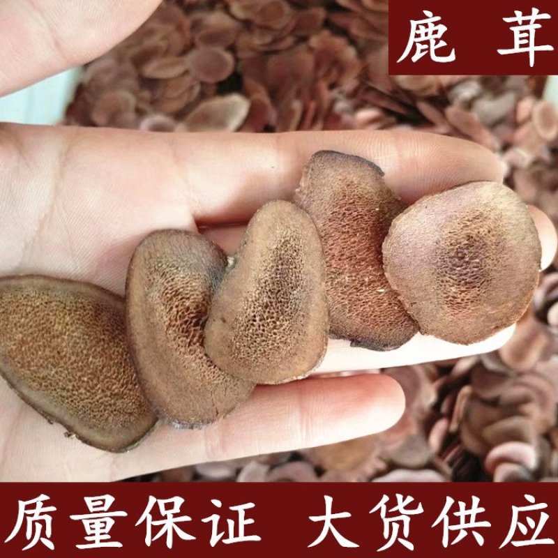 鹿茸正品产地东北中药材鹿茸质量保证无条件退货包邮