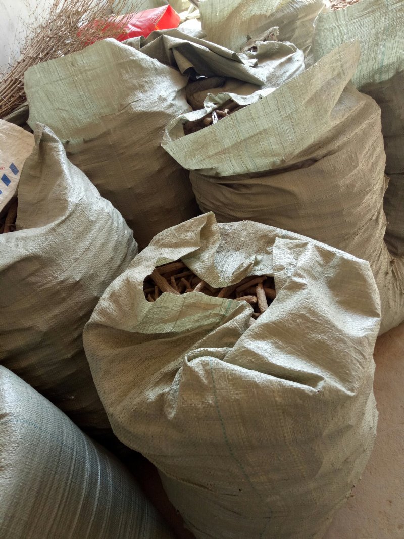 今年新货开始大量上市自产自销黑根白芍大货