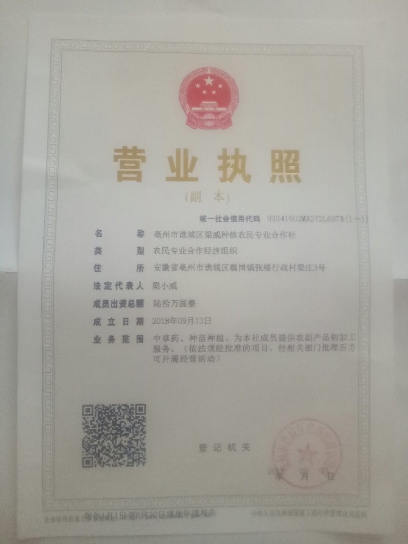 今年新货开始大量上市自产自销黑根白芍大货