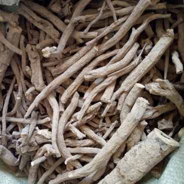 今年新货开始大量上市自产自销黑根白芍大货