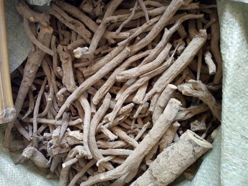 今年新货开始大量上市自产自销黑根白芍大货