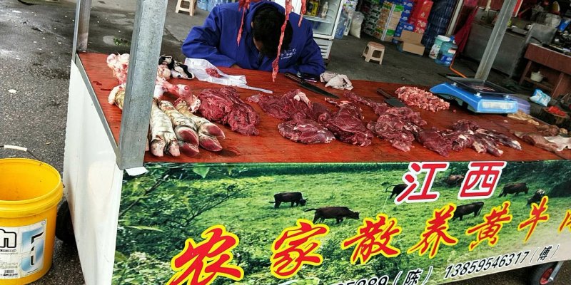 江西农家黄牛