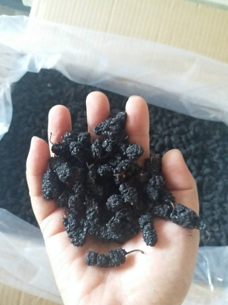 桑葚干