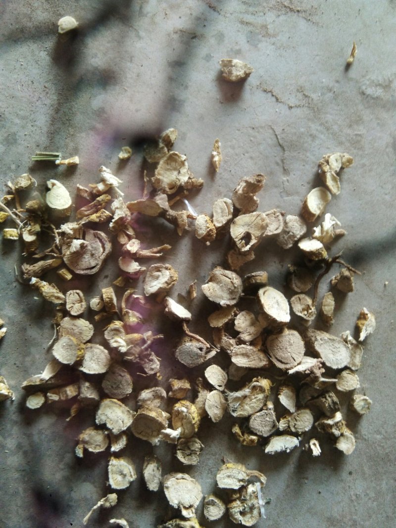 有大量苦参片子！可做药检欢迎合作！