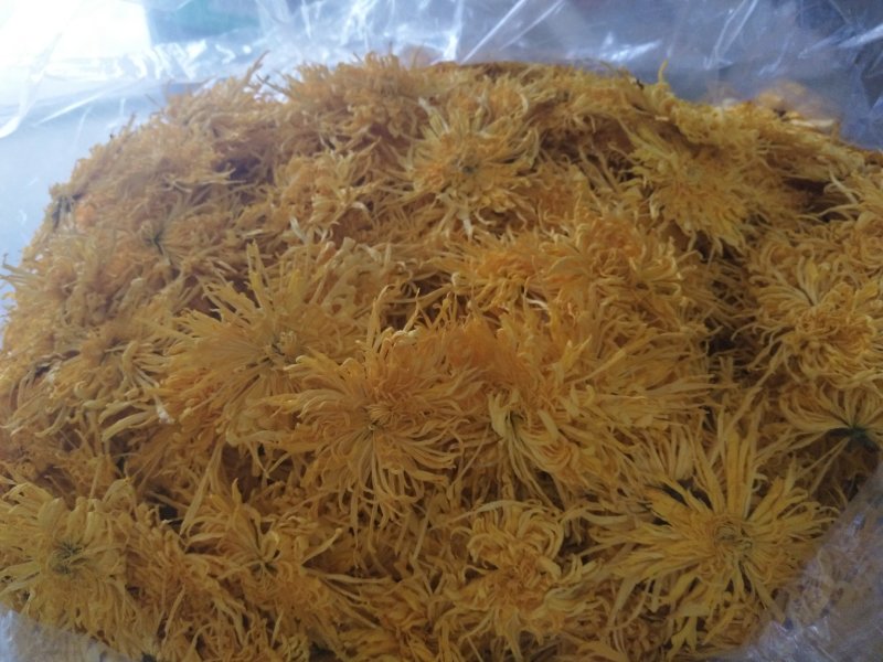 黄山金丝皇菊