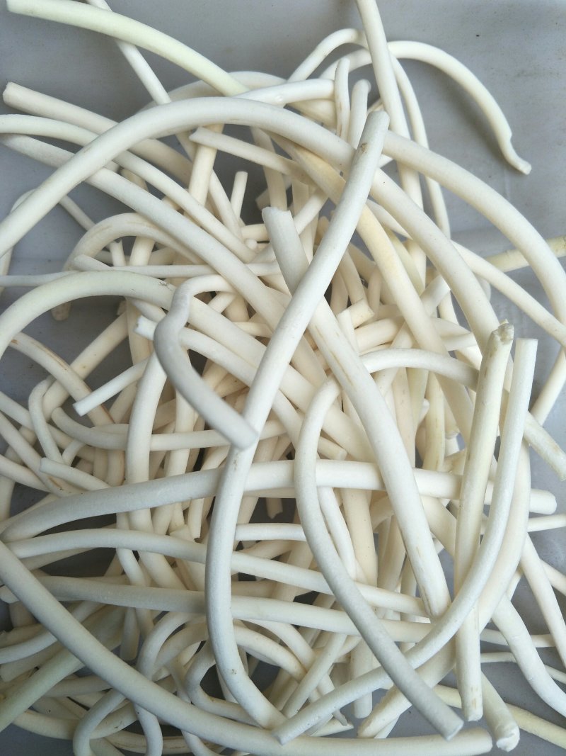 小通草