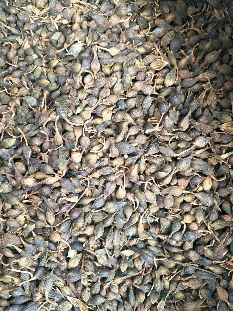 水煮青翘