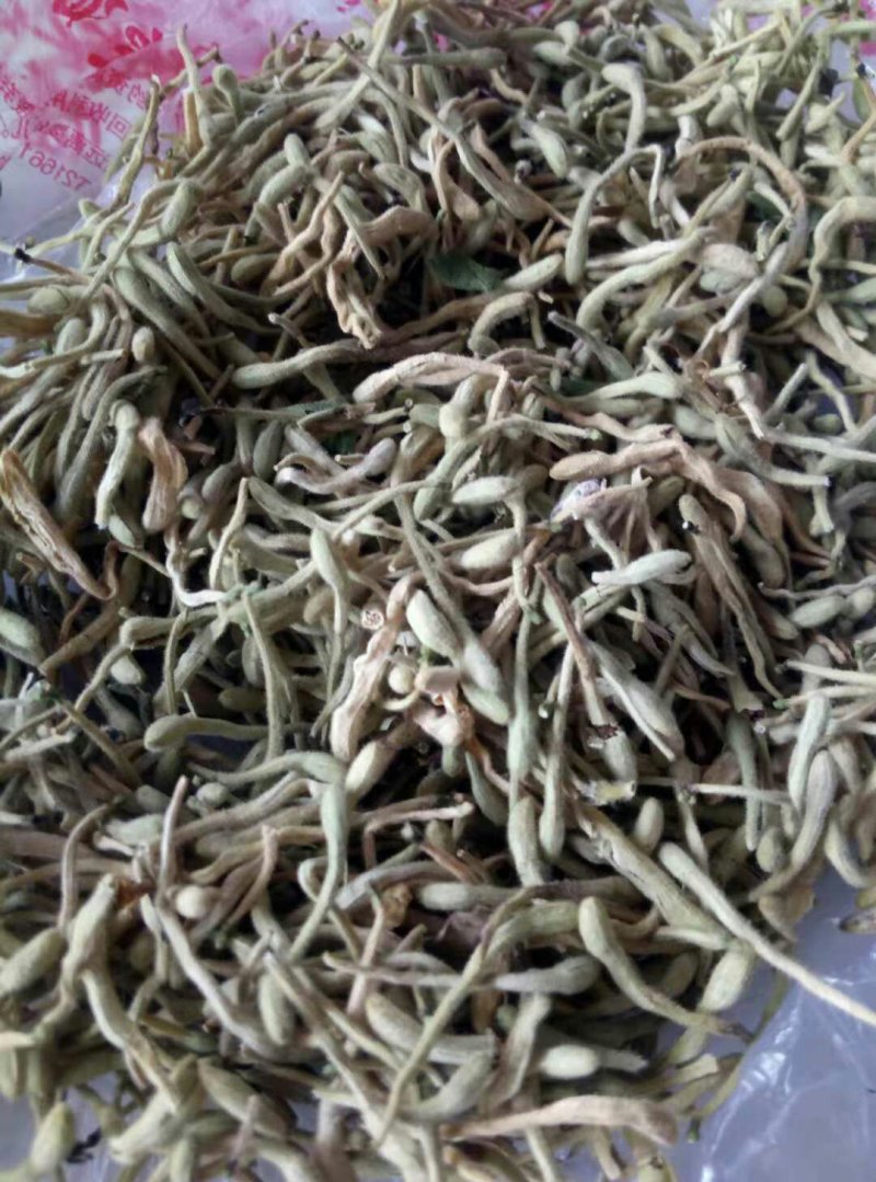 金银花