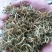 金银花