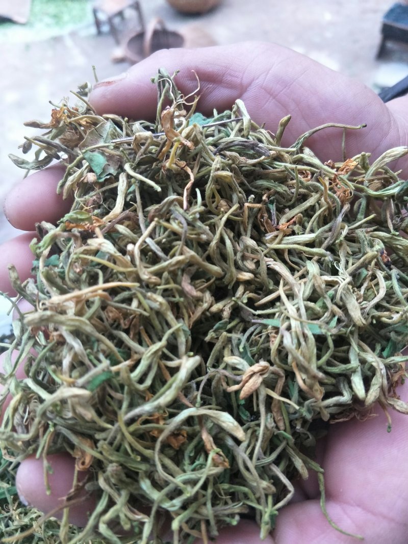 金银花
