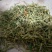 金银花