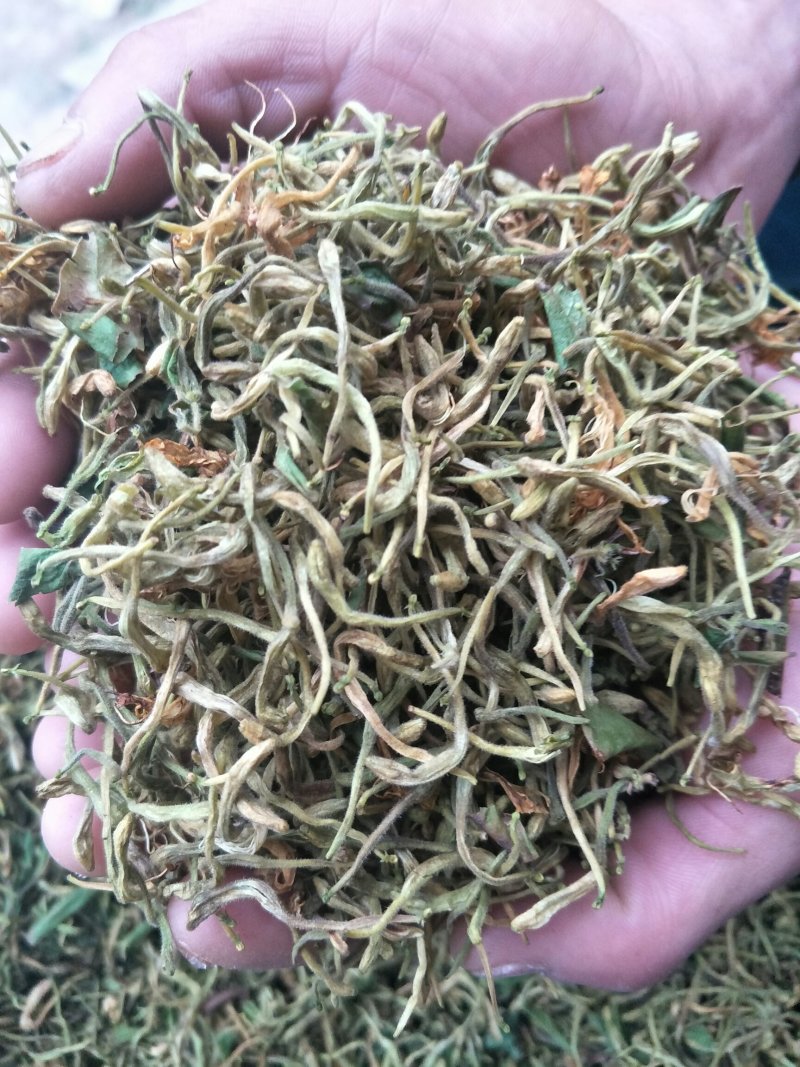 金银花