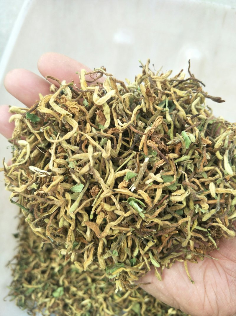 金银花