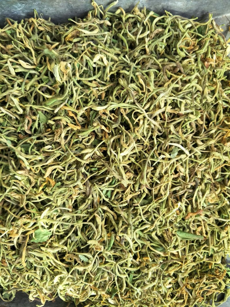 金银花