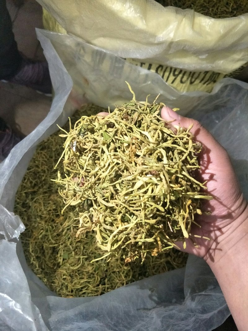 金银花