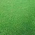 马尼拉