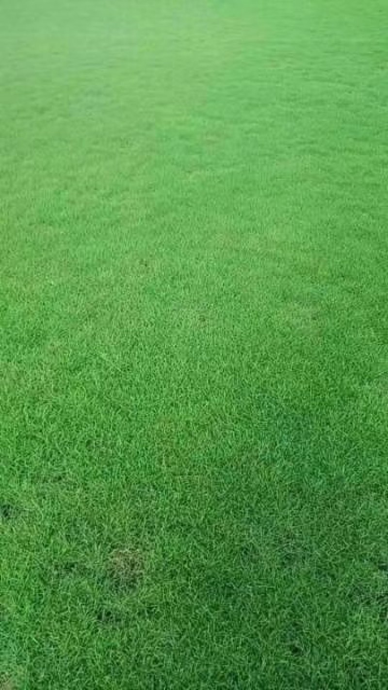 马尼拉