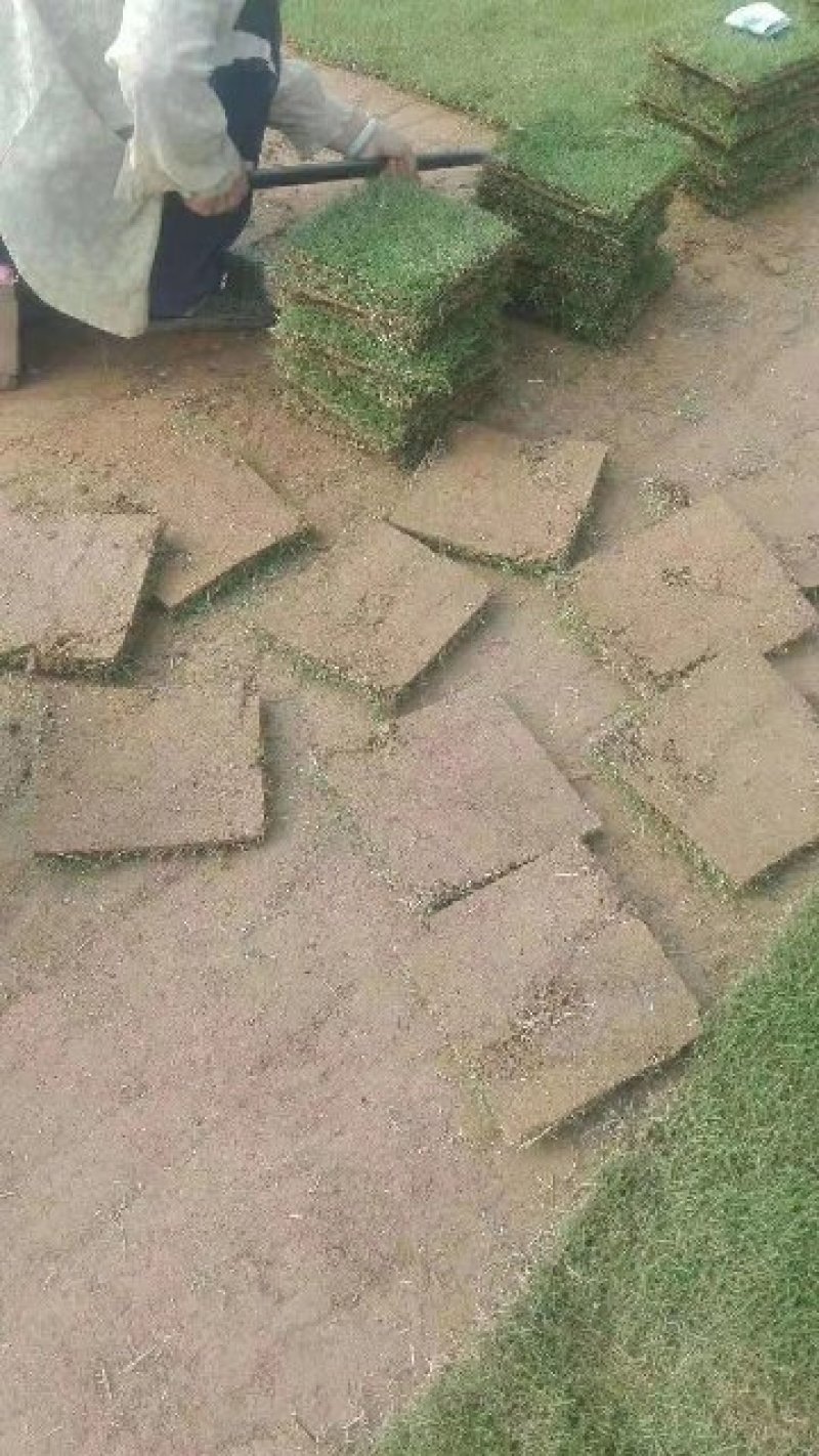 马尼拉