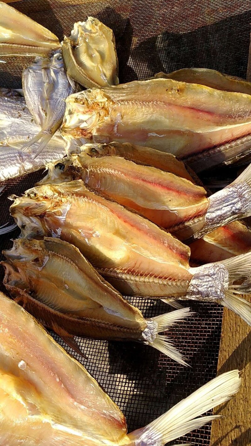野生翘嘴鱼🐟，自家腌制