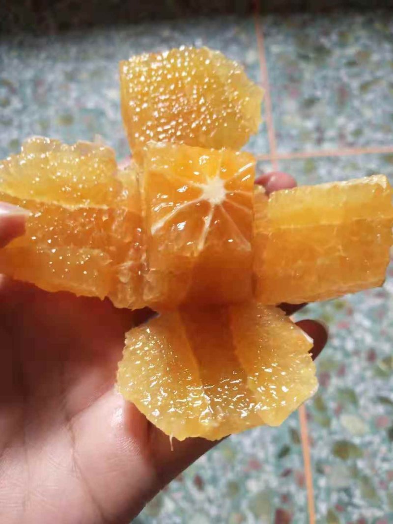 正宗红江橙