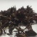 花茶玉兰花